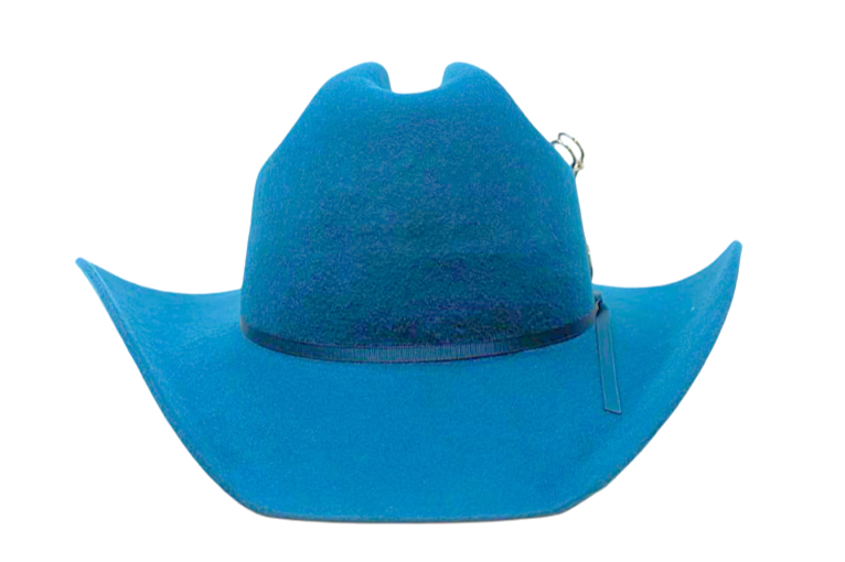 True-D – Fruition Hat Company - Main Image